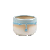 シンプルな多肉植物フラワーポットフローグレーズポットクリエイティブセラミックフラワーポット_A12