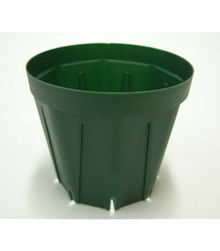 Amazon | とんでもないポット：5号モスグリーン 10個セット