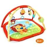 KI-BR　9007　Bright Starts(ブライトスターツ)　ライオン・イン・ザ・パークアクティビティジム