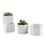 T4U 7CM 陶器ミニ植木鉢 六角形 マット表面 多肉植物 サボテン鉢 フラワーポット プランター容器 白 4個入り