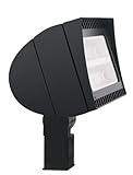 RAB Lighting FXLED78SF Flexflood 78-watt Cool Led Slipfitter, Bronze [並行輸入品]