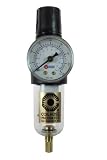 Coilhose Pneumatics MFC2-G Miniature Series Integral Filter Regulator Combo, 1/4-Inch Pipe Size with