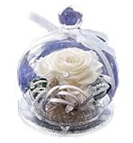 花由 プリザーブドフラワー 12星座 【しし座】 白 フラワーギフト ブリザードフラワー 誕生日プレゼント 女性 結婚祝い お祝い 花