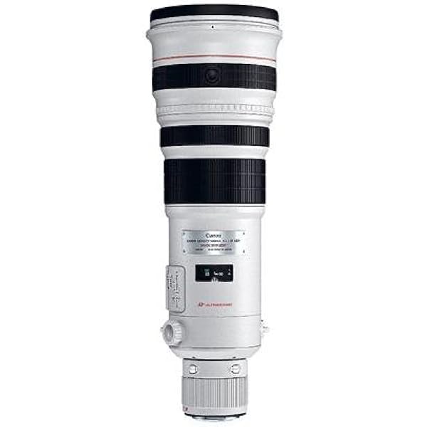 31cF7pX49dL._AC_UL600_SR600,