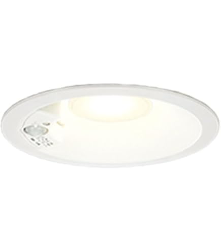 Amazon | パナソニック(Panasonic) 天井埋込型 LED 電球色 軒下用