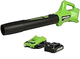 Greenworks 24V 充電式 ブロワー 電動 (145 KM/H 9.08 M³/MIN ) 2Ah USBバッテリー (USBハブ