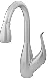 Symmons S-2620-STS-L Moscato Pull Out Faucet [並行輸入品]