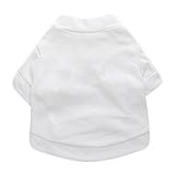 See You Again (Special Album) KOREA CD *NEW*