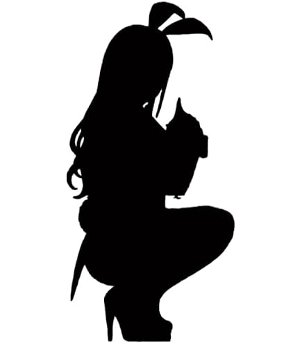 Amazon | ASTRUM DESIGN パイロットお姉さん 17スケール フィギュア