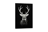 ブラックとホワイト動物写真キャンバス壁アートPrints 11"W x 17"H