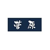 丸三タカギ 彫り込み済表札 アクリル APA1-N-1-3-菅原 【完成品】