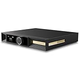 S.M.S.L VMV D2R Bluetooth 5.1 D/Aコンバーター ROHM フラッグシップ DAC 「BD34301EKV」搭載 LDAC・APTX・APTX-HD・AAC・SBC対応 MQA MQA-CD USB DAC CK-03クロック回路搭載 バランス出力 XMOS XU316 DSD512 PCM32Bit/768kHZ オーディオ デコーダー