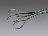 ESCO (エスコ)12mmx4.0m ワイヤースリングEA981WC-26