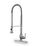 iSpring L8205CHR Single Lever Pull Out Kitchen Faucet, Chrome [並行輸入品]