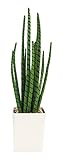 萩原 人工観葉植物 「スピカ」 約55cm 光触媒加工 159016200