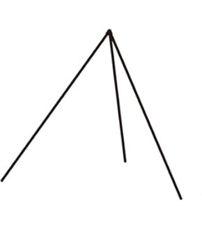 Amazon | テンマクデザイン サーカスTC DX MID+専用 窓付き