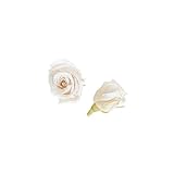 florever　フロールエバー　フレッシュルックベイビーローズ　パンナコッタ　12輪　Φ2.5～3.5cm　 プリザーブドフラワー　Baby Rose　Panna Cotta