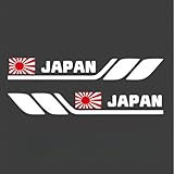 フェンダー ステッカー 車用 防水 耐熱 簡単取り付け 傷隠し エンブレム デカール シールリア フェンダー ドア サイド ガラス サイドスカート 対応 DIY 外観アップグレード 車 個性化 アクセサリー(ホワイト, JAPAN) [並行輸入品]