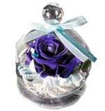 花由 プリザーブドフラワー 12星座 【いて座】 ターコイズ フラワーギフト ブリザードフラワー 誕生日プレゼント 女性 結婚祝い お祝い 花