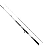 Amazon | ダイワ(DAIWA) 船竿 極鋭ヒラメ EX MH-243 | ダイワ