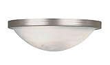 Trans Globe Lighting PL-6213 BN 1-Light Flush-Mount, Brushed Nickel [並行輸入品]
