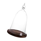 Fenteer 観葉植物カバー　透明　ガラスカバー　ベル形　花瓶　全3色選択　インテリア　花器　コンテナ　トレイ付き　デコレーション - カラー1