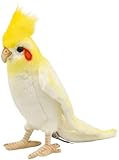 BH6457 HANSA オカメインコ21