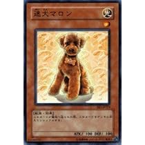 遊戯王カード　マロン Amazon.co.jp: 【遊戯王シングルカード】 《エキスパート