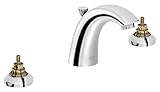 Arden 8 in. Widespread 2-Handle Bathroom Faucet [並行輸入品]