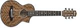 Ibanez/アイバニーズ ピッコロ(ミニミニ・サイズ)アコースティック・ギター EWP14WB-OPN 専用バッグ付き