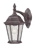 Acclaim 5502MM Telfair Collection 1-Light Wall Mount Outdoor Light Fixture, Marbleized Mahogany [並行輸