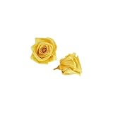 florever　フロールエバー　フレッシュルックベイビーローズ　イエロー　12輪　Φ2.5～3.5cm　 プリザーブドフラワー　Baby Rose　Yellow