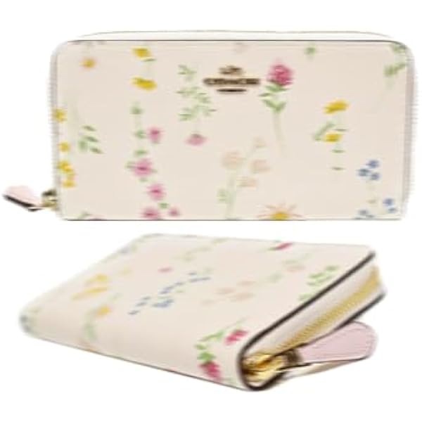 Amazon.co.jp: [コーチ] COACH 長財布 F31572 ブラウンマルチ IMBMC