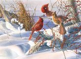 Birds of a Feather 1000 piece Puzzle by Outset Media Games