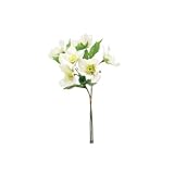 日本ビダヤコム ALLSEASON'SFLOWER クリスマスローズバンドル(3本/束) F3788 クリーム