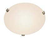 Trans Globe照明58706 WH 2ライトフラッシュ3クリップオパールガラス、ホワイト 58706 BN 1