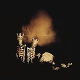 RIOT ACT [2LP] [Analog]