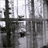 Chaos And Creation In The Backyard by Paul Mccartney