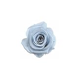 florever　フロールエバー　フレッシュルックメディアナローズ　コットンブルー　8輪　Φ4～5cm　 プリザーブドフラワー　Mediana Rose　Cotton Blue
