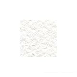 ホルベイン画材 ストラスモアI 300g細目 56×76 560×760mm