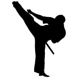Martial Arts Wall Decal Sticker 42 - Decal Stickers and Mural for Kids Boys Girls Room and Bedroom. 