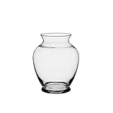 Syndicate Sales 6 1/4' Ginger Vase, Clear [並行輸入品]
