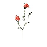 ガーデンローズ FXFR0015OR