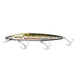 シマノ(SHIMANO) ミノー エクスセンス サイレントアサシン 140S フラッシュブースト 007 Fブラック(キョウリン) シーバスミノー ルアー