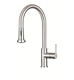 Franke ff20650 Bernadineプルダウンスプレーキッチン蛇口 – IncludesオプションEscu、 FF20650