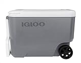 igloo(イグルー) ウィリークール 38 (36L) グレー #34499幅58×奥行33×高さ40cm