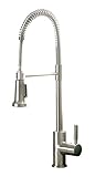 Premier 120334LF Essen Single-Handle Commercial-Style Kitchen Faucet with Pull-Down Spout, Brushed N