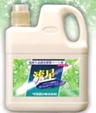 リスロン 超耐久高濃度樹脂コート剤　流星 4L