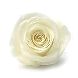 ~Coco Heart~ 　1輪で買える　プリザローズ・ルミエール シャモニーホワイト 花直径約４ｃｍ　(ハンドメイド アレンジ　クリスマス　母の日　プリザブドフラワー・ローズ）