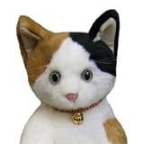 Cuddly小春ぬいぐるみ49cm